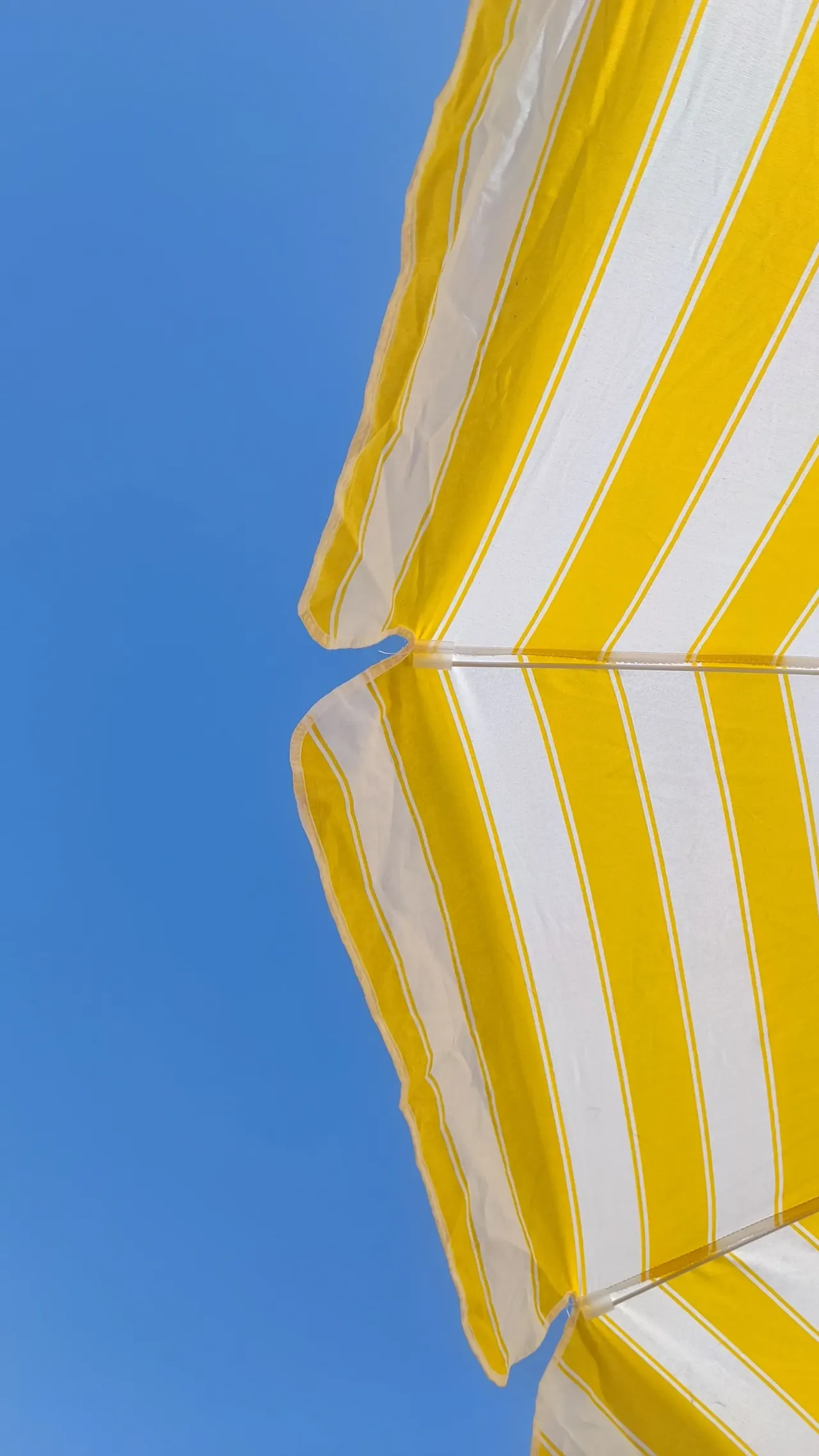 Bientôt les vacances !