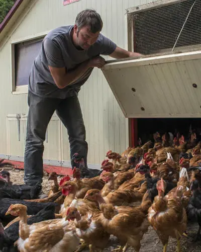 BABIN CEDRIC, producteur partenaire du Comptoir