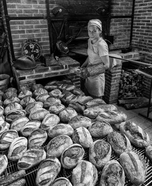 Pousse ta graine !, producteur partenaire du Comptoir