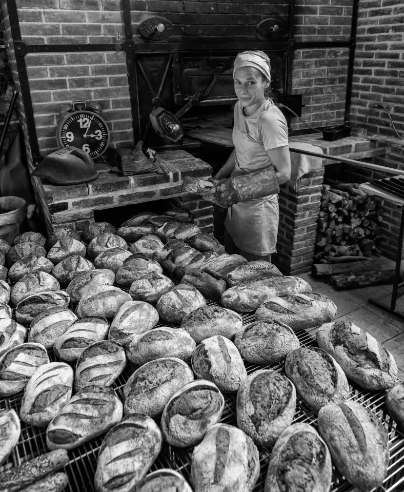 Pousse ta graine !, producteur partenaire du Comptoir