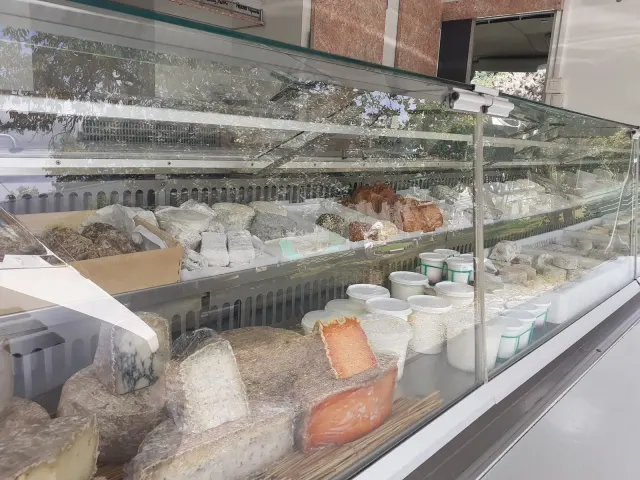 Chèvre de St Cyr