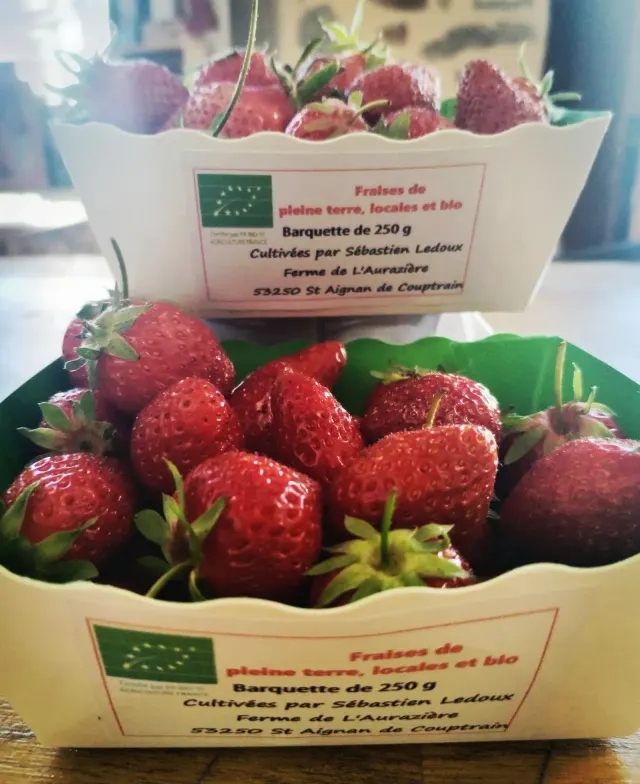 Fraise